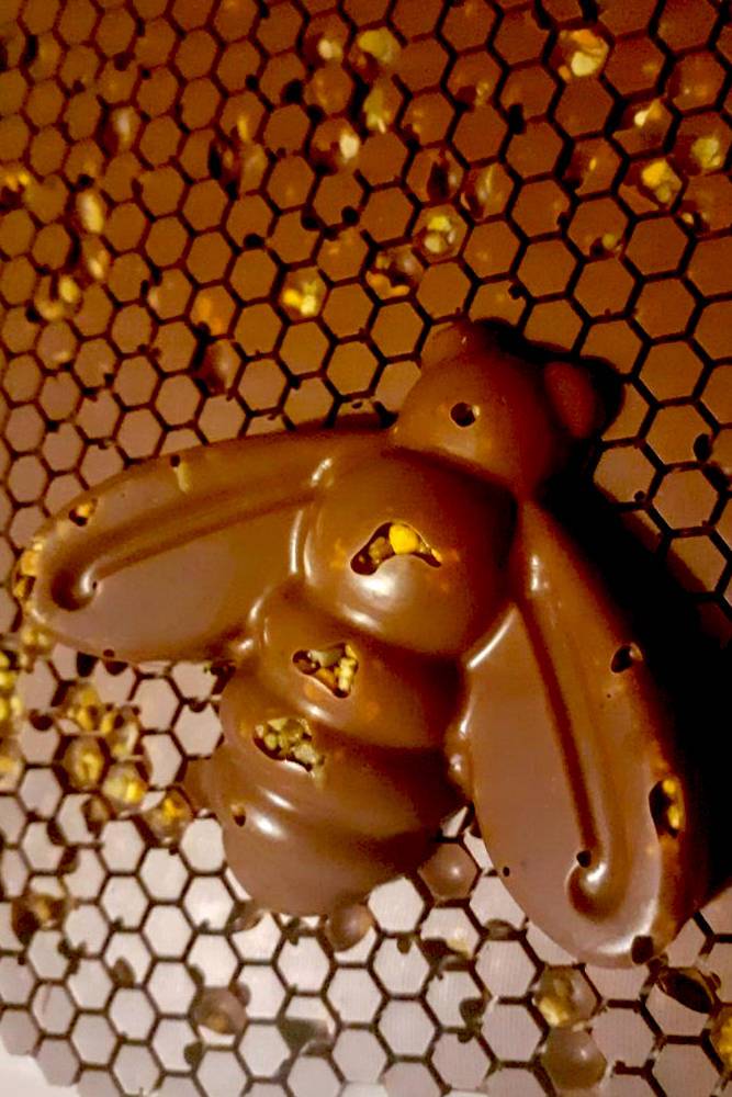 Kattaus Hauho-talolla